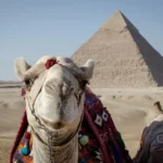 Geschichte Ägyptens