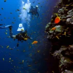 Tauchplätze im Roten Meer